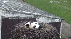IMG_0225.jpeg