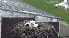 IMG_0228.jpeg