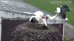 IMG_0229.jpeg