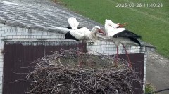 IMG_0230.jpeg