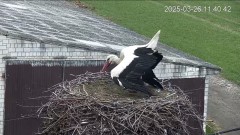 IMG_0237.jpeg