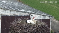 IMG_0243.jpeg