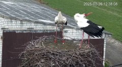 IMG_0248.jpeg
