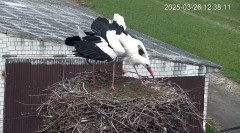 IMG_0250.jpeg