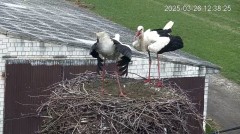 IMG_0255.jpeg