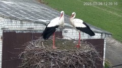 IMG_0257.jpeg