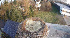 IMG_0405.jpeg