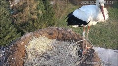 IMG_0413.jpeg