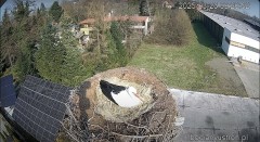 IMG_0417.jpeg