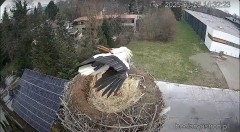 IMG_0419.jpeg