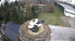 IMG_0422.jpeg