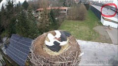 IMG_0425.jpeg