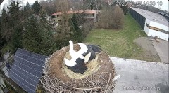 IMG_0426.jpeg