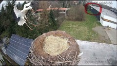 IMG_0431.jpeg