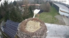 IMG_0443.jpeg