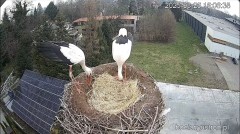 IMG_0446.jpeg