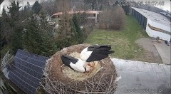 IMG_0447.jpeg