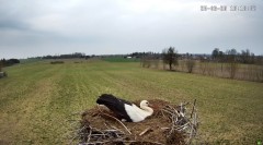 IMG_0475.jpeg
