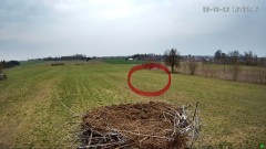 IMG_0479.jpeg