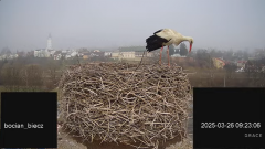 2025-03-26 18_16_14-Bociany Biecz - YouTube - Maxthon.png