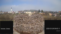 2025-03-26 18_16_19-Bociany Biecz - YouTube - Maxthon.png