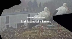 IMG_0505.jpeg