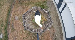 IMG_0521.jpeg