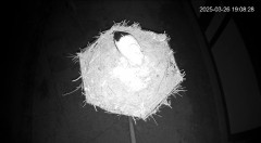IMG_0523.jpeg