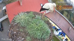 IMG_0277.jpeg