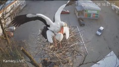 IMG_0531.jpeg