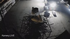 IMG_0536.jpeg