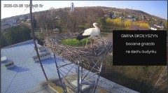 IMG_0356.jpeg