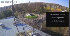 IMG_0365.jpeg