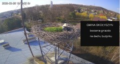 IMG_0366.jpeg