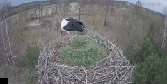 IMG_0551.jpeg