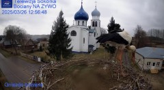 IMG_0562.jpeg