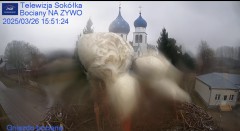 IMG_0557.jpeg
