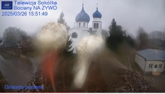 IMG_0558.jpeg