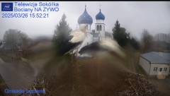 IMG_0559.jpeg