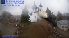IMG_0561.jpeg
