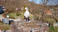 2025-03-26 22_16_47-Tyrawa Wołoska - gniazdo bocianie - YouTube - Maxthon.png