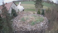 IMG_0358.jpeg