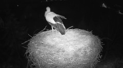 IMG_0540.jpeg