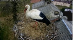 IMG_0616.jpeg