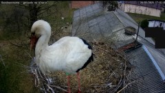 IMG_0618.jpeg