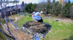 IMG_0570.jpeg