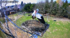IMG_0571.jpeg