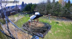 IMG_0581.jpeg