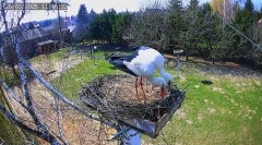 IMG_0583.jpeg
