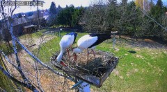 IMG_0584.jpeg